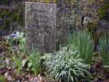 image of grave number 807139
